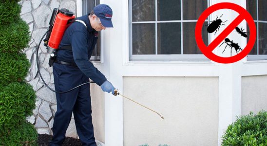 Vize Karınca İlaçlama böcek ilaçlama ve haşere kontrolü — ilaclama-tr.com